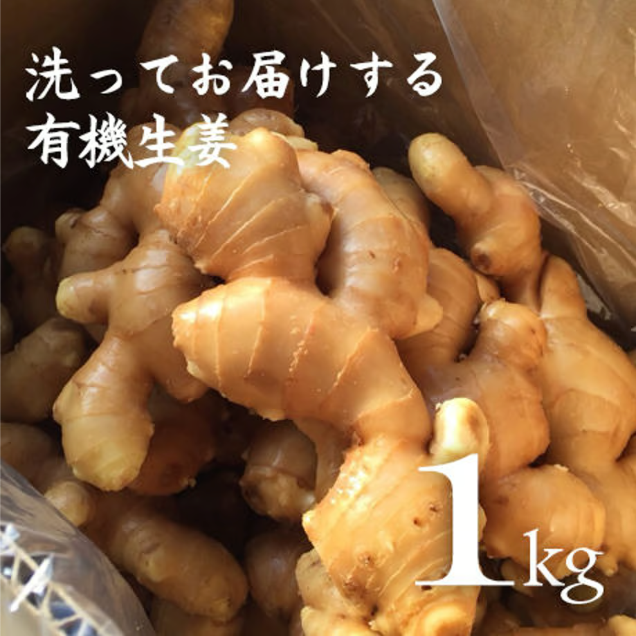 有機生姜 洗い