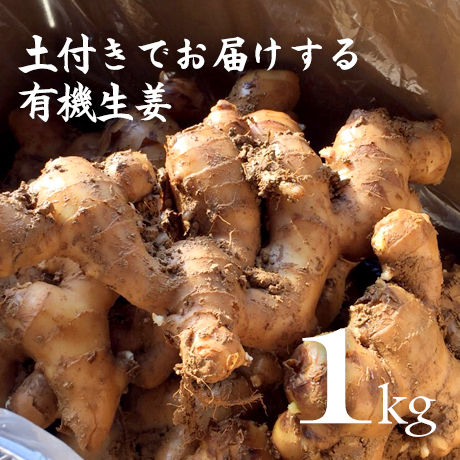 有機生姜 土付き