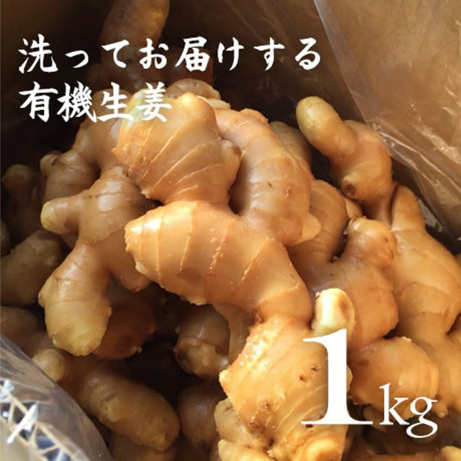 有機生姜（生鮮）洗い　1kg