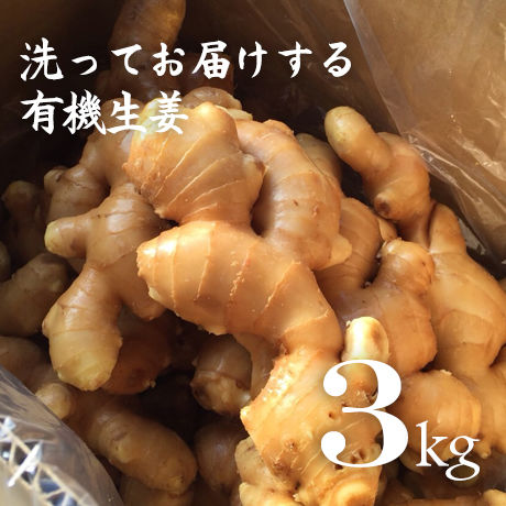 有機生姜（生鮮）洗い　3kg